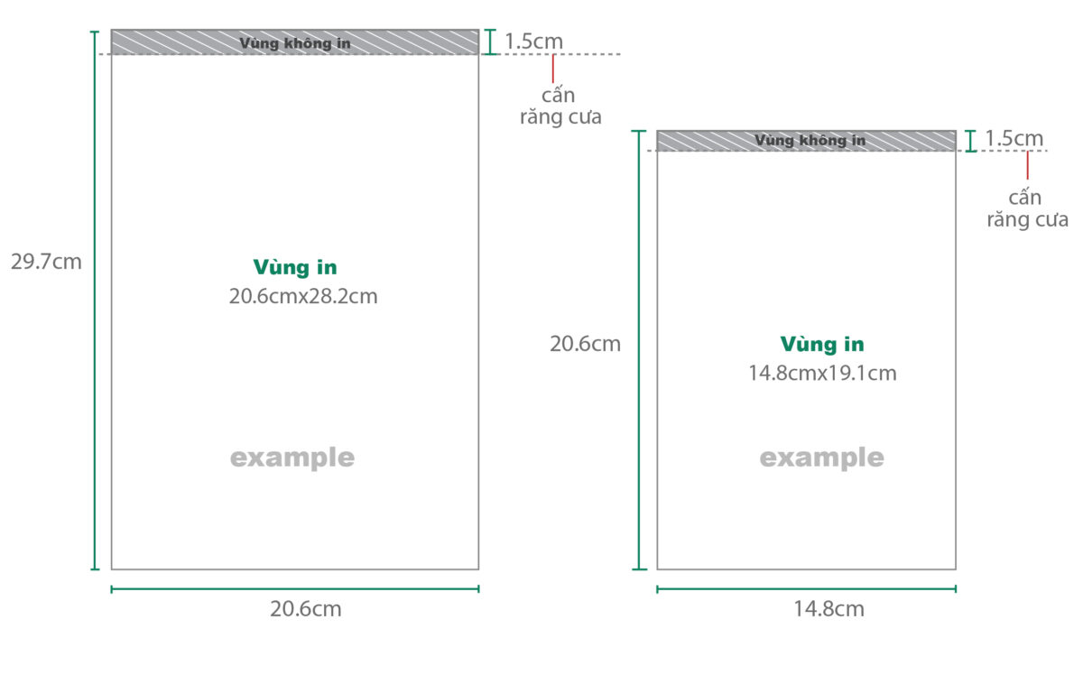 The_gioi_in_an_20240329111536219bieumau-hoadon